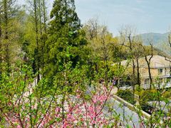 -莫干山风景区