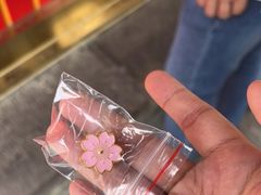 -鸡鸣赐茶(鸡鸣寺路店)