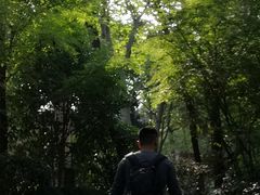 -云龙山