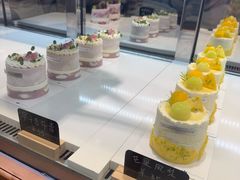 -山与蓝·轻糖鲜果蛋糕(勒泰店)