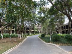 -西双版纳安纳塔拉度假酒店