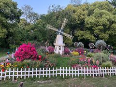 -上海共青森林公园