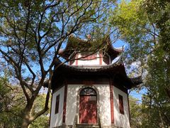 -上海佘山国家森林公园天马山园