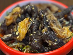 -道乐烧肉酒馆