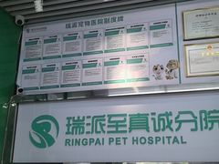 -瑞派动物医院·猫专科·至诚(江南中分院)