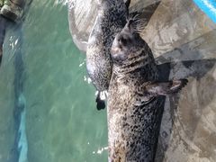 -福州罗源湾海洋世界旅游区