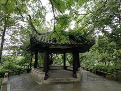 -江心屿景区