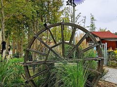 -上海长兴岛郊野公园