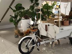 -M Stand(宁波万象城店)