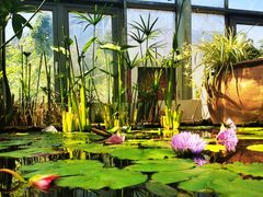 -国家植物园南园