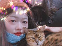 -极木²邸 人与宠物·互动社区