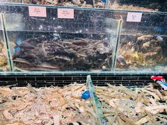 -衢农会·衢州菜·宴请(国际机场店)
