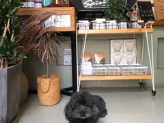 -唐咖精品咖啡(大理古城手冲店)