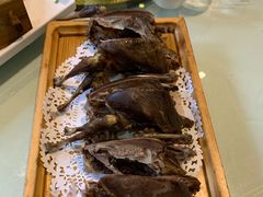 -食家鸽园