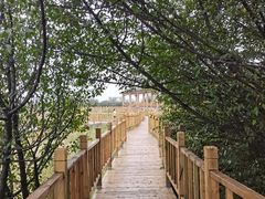 -野三坡百草畔景区