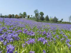 -汉长安城未央宫国家考古遗址公园