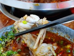 青椒美蛙-耗儿鱼蛙蛙叫·老成都火锅(蛇口海昌街店)