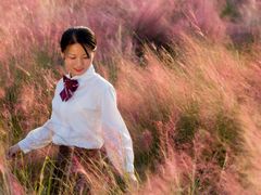 -艾溪湖湿地公园