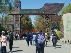 -溱湖国家湿地公园