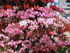 -盒马鲜生(莱蒙都会店)