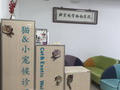 -北京观赏动物医院·24小时大型综合·猫专科·异宠专科