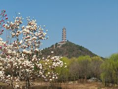 -北坞公园