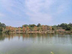 -香山湖公园