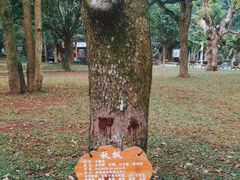 -海口火山口国家地质公园