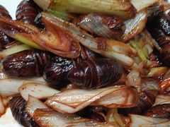 -大连湾旭日·家宴·海肠捞饭(马栏广场店)