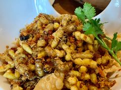 -园林美食城·本土农家菜(杨和镇店)