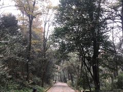 -岳麓山风景名胜区