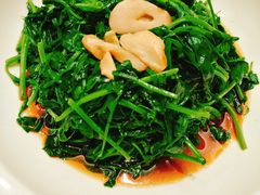 松茸豌豆苗-和记小菜(大宁店)