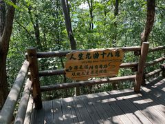 -天目湖山水园