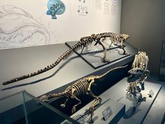 -自贡恐龙博物馆