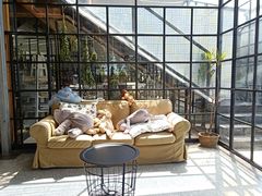 -NOTOOCAFE不二咖啡馆(岩前店)