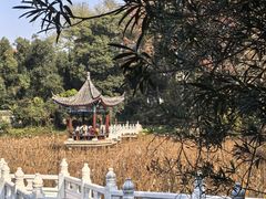 -青龙山国家森林公园