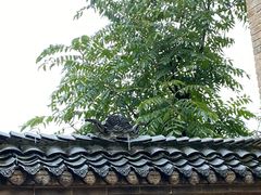 -白鹿原影视城