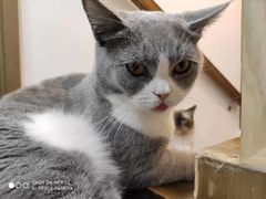-Catmate·猫肥家润(金润铂宫店)