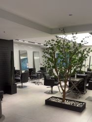 点击看大图 -付军剪艺JF ProSalon
