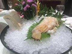 象鼻蚌刺身-天宫南铂玫瑰园酒店