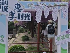 -嘉定紫藤园