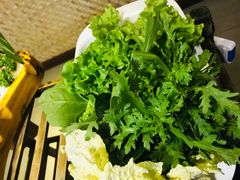 -老诚一锅羊蝎子(黄寺大街店)