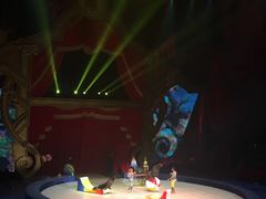 -珠海横琴长隆《卡卡虎奇遇记》