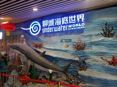 -聊城海底世界
