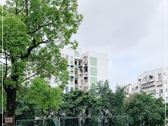 -广州市南武中学