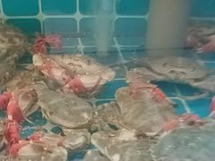 -锅老头铁锅炖•大锅蒸汽海鲜(韩乐坊店)