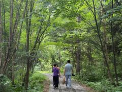 -五营红松林海景区