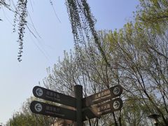 -大兴滨河森林公园