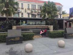 -大湾区中央湿地公园-十九涌