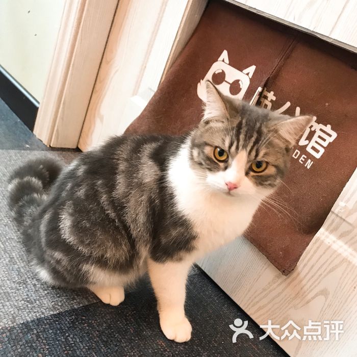 猫公馆